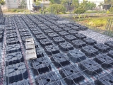 Thi công sàn vượt nhịp không dầm tại TPHCM